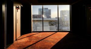 An carpeted office building with light coming in through the window.